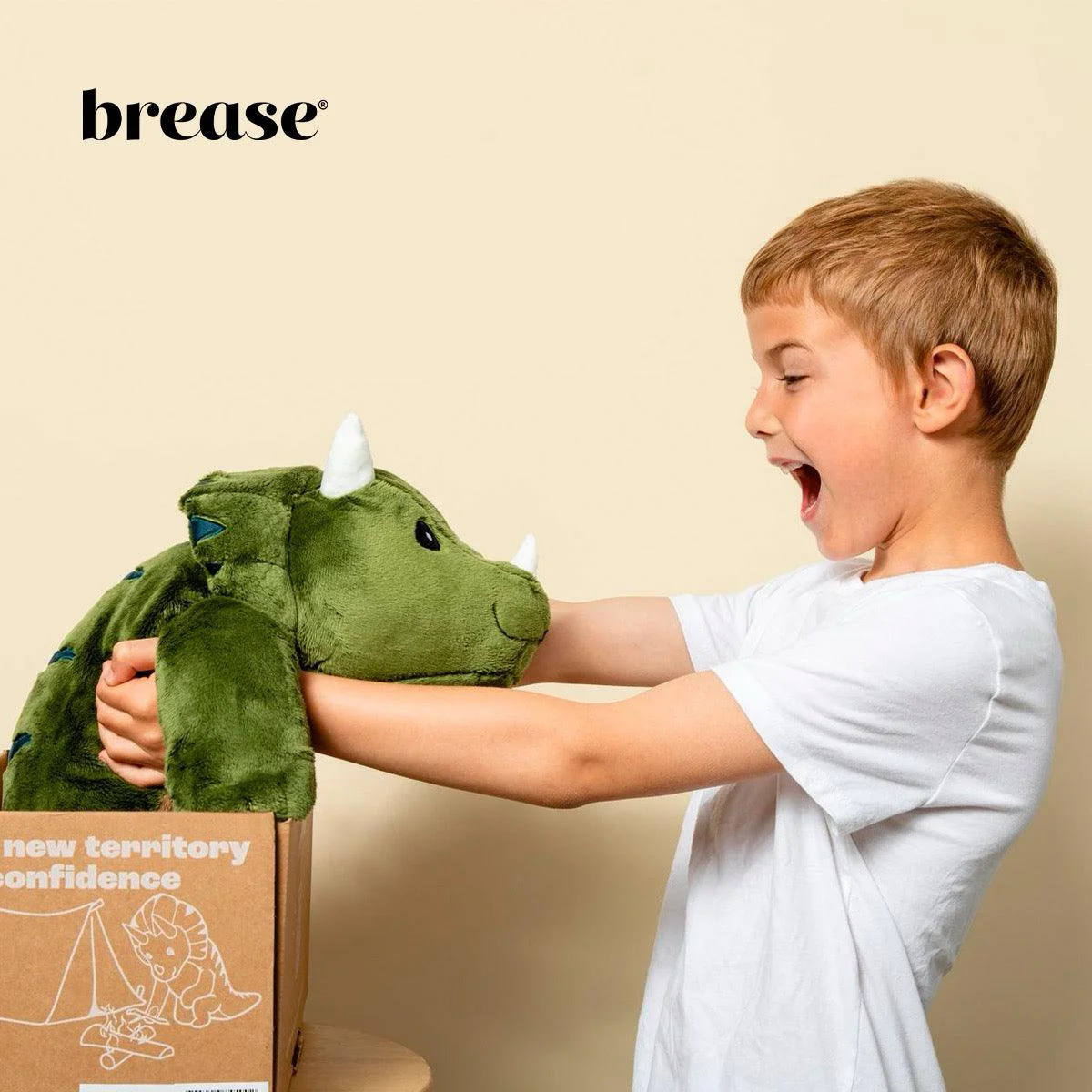 Weighted Dinosaur 5lb - Image 10