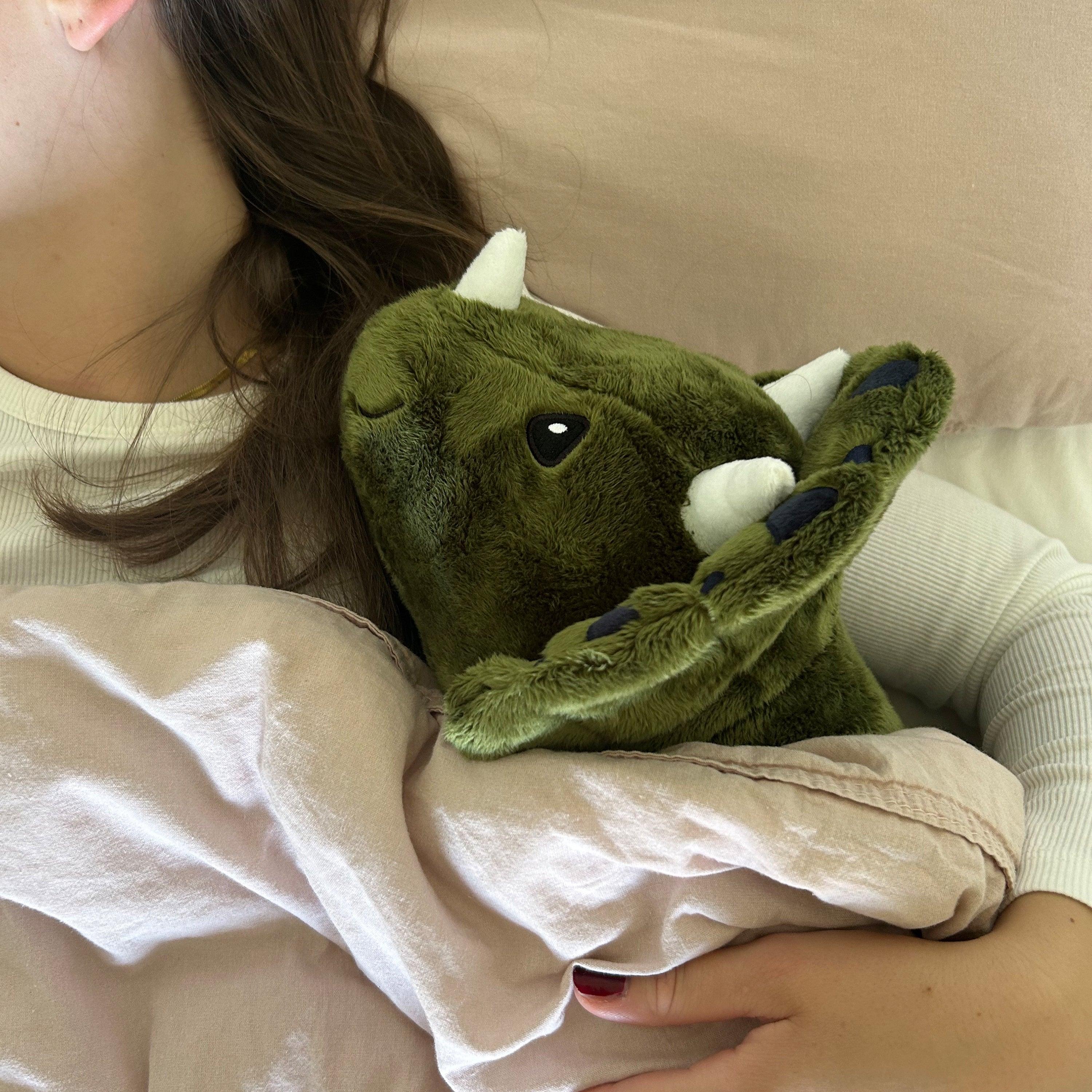 Weighted Dinosaur 5lb - Image 4
