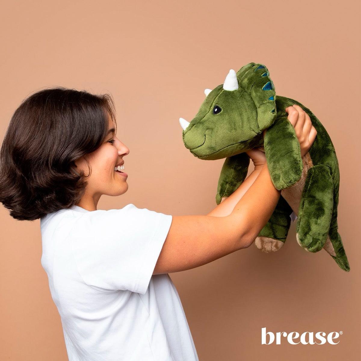 Weighted Dinosaur 5lb - Image 9